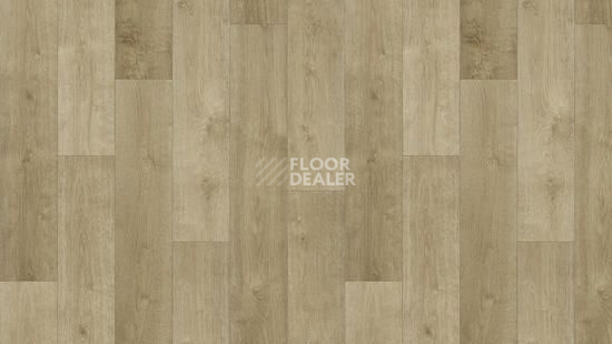 Линолеум Tarkett Фаворит MONDO 3 фото 1 | FLOORDEALER